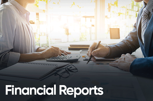Financial Reports