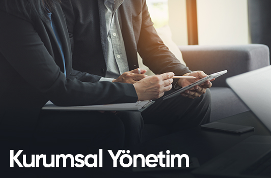 Kurumsal Yönetim