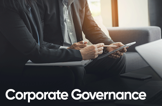 Corporate Governance