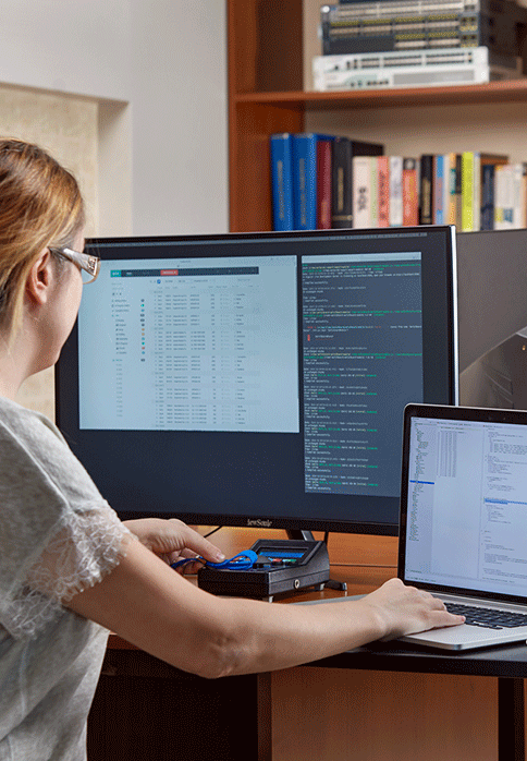 IT & Software Development